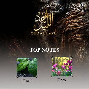 Oud Al Layl Perfume By Arabiyat – EDP 100ML